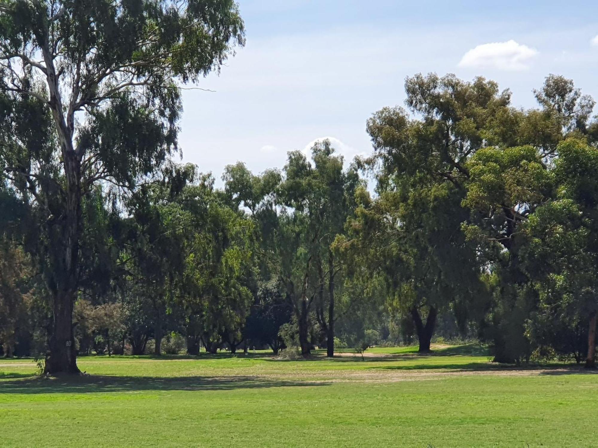 Corowa Golf Club Motel Eksteriør billede